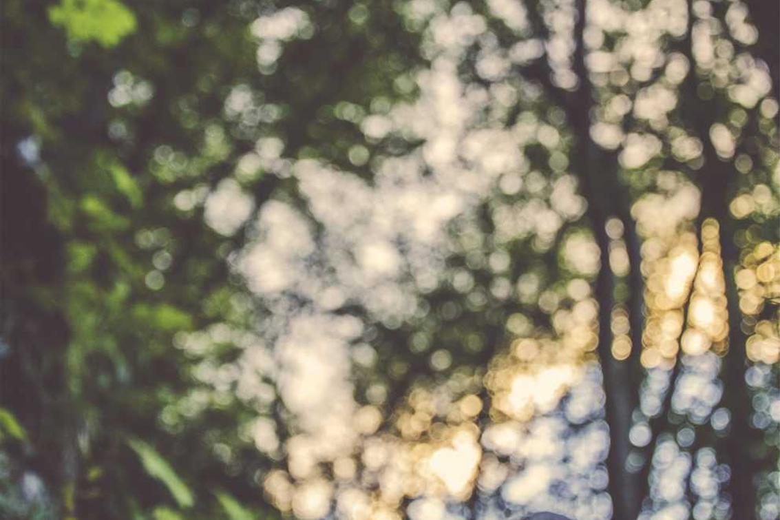 Itaque repellendus eius